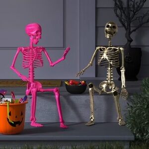 Hyde and EEK! 36" Posable Skeleton Halloween Decorative Prop